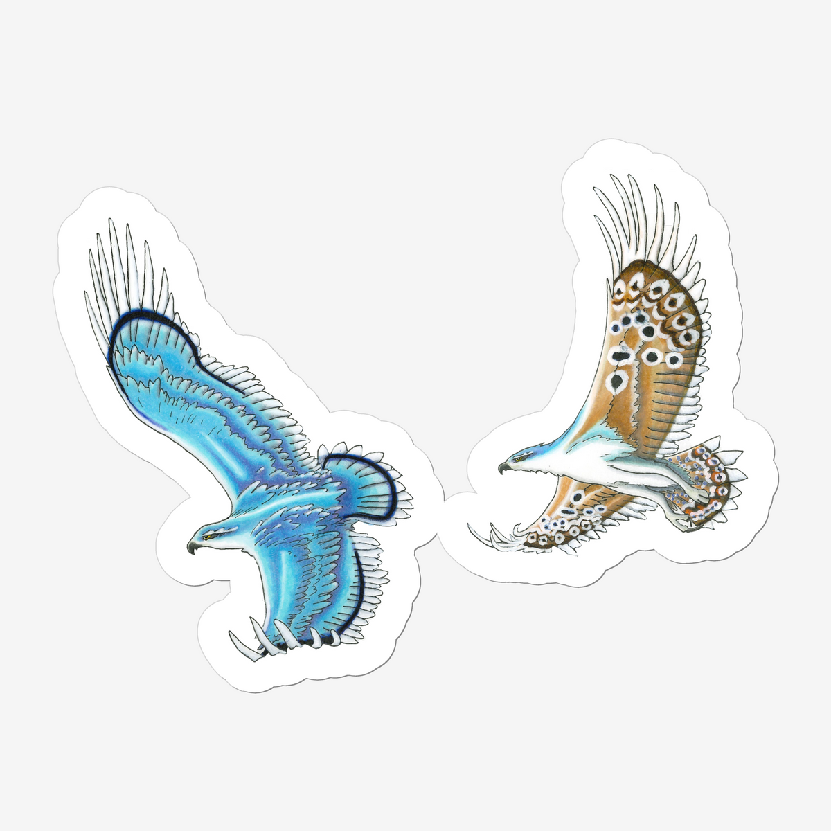 Sticker of two eagles in the colours of the Adonis Blue Butterfly