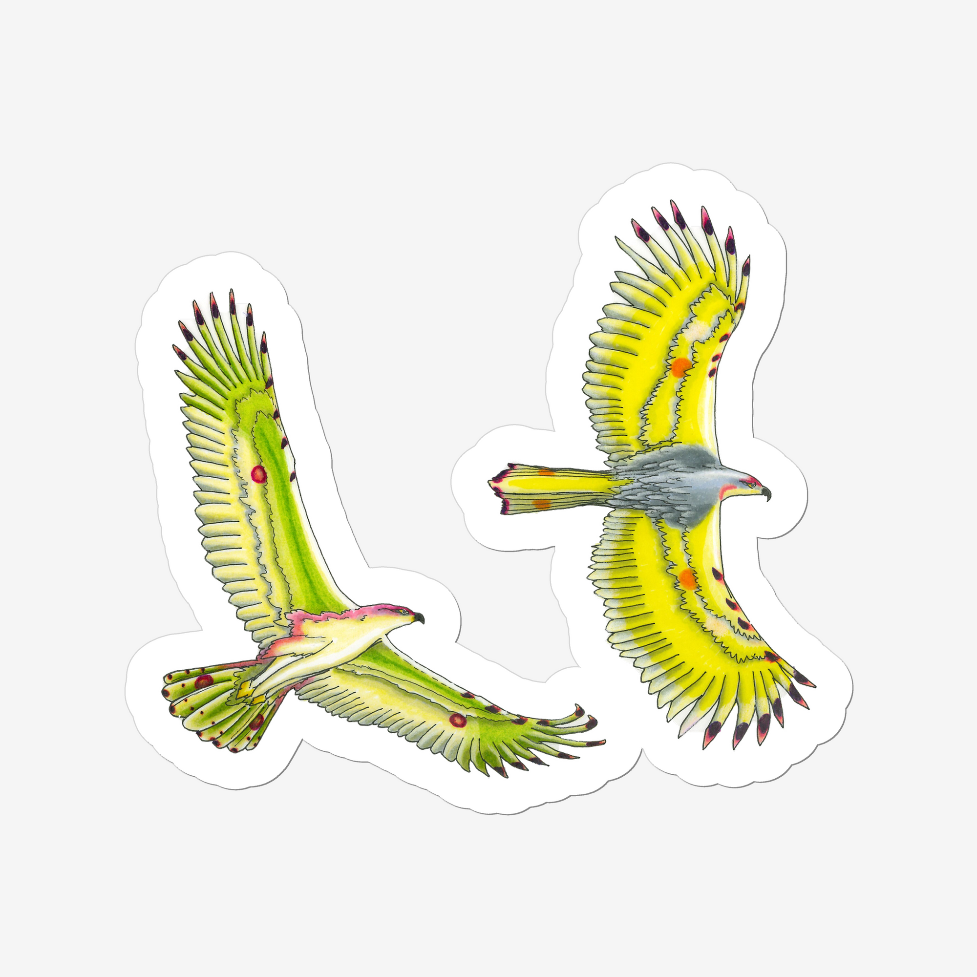 sticker of two eagles in the colours of the Brimstone Butterfly