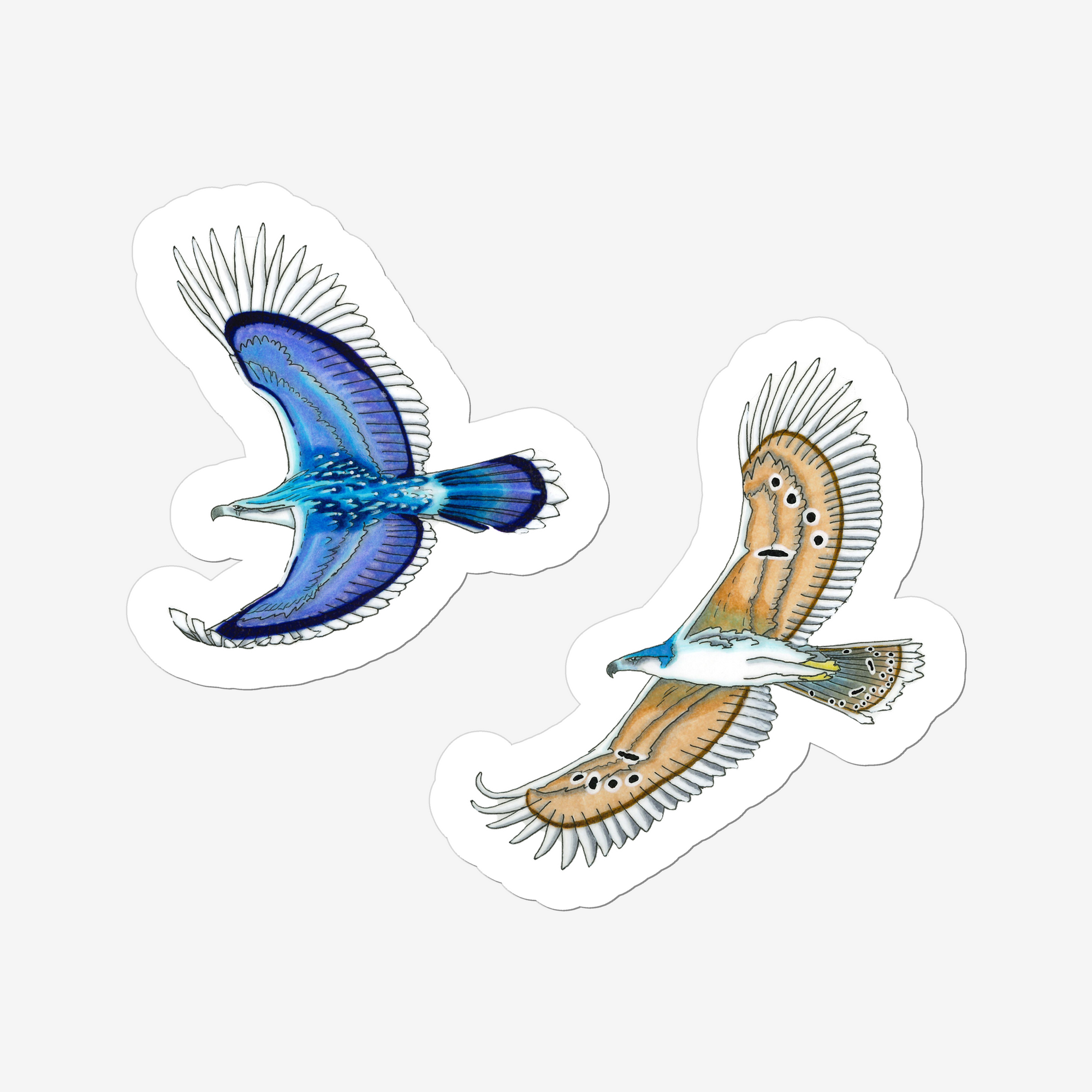 sticker of two eagles in the colours of the Mazarine Blue Butterfly